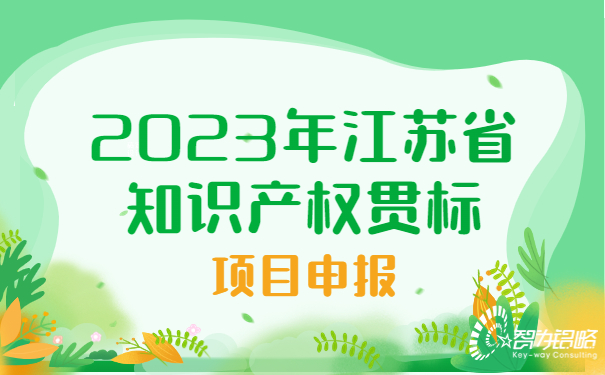 2023年江蘇省知識產(chǎn)權(quán)貫標(biāo)項目咨詢