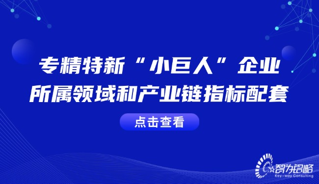 專精特新“小巨人”企業的所屬領域和產業鏈指標配套.jpg