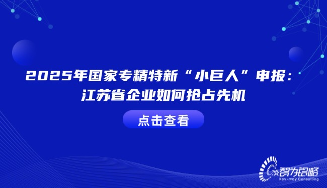 2025年國家專精特新“小巨人”申報：江蘇省企業(yè)如何搶占先機.jpg