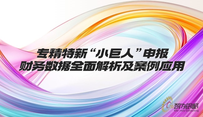 專精特新“小巨人”申報財務數據全面解析及案例應用.jpg