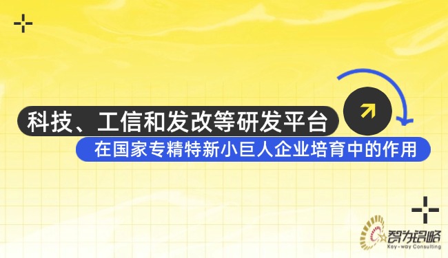 科技、工信和發改等研發平臺在國家專精特新小巨人企業培育中的作用.jpg